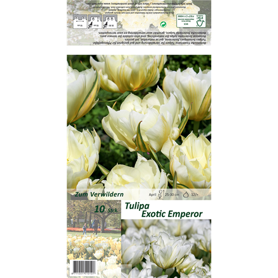 Tulpe 'Exotic Emperor'