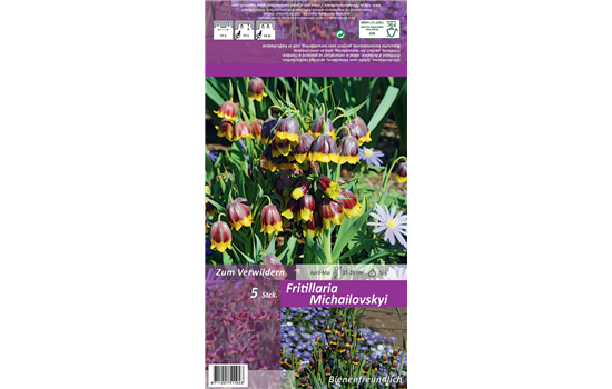 Türkische Schachbrettblume