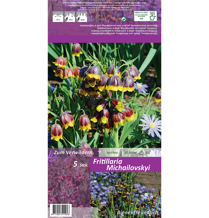 Fritillaria michailovskyi