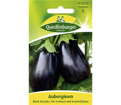 Auberginensamen 'Black Beauty'