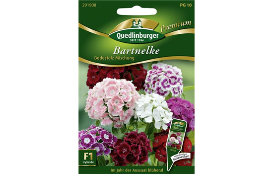 Bartnelkensamen 'Bodestolz'