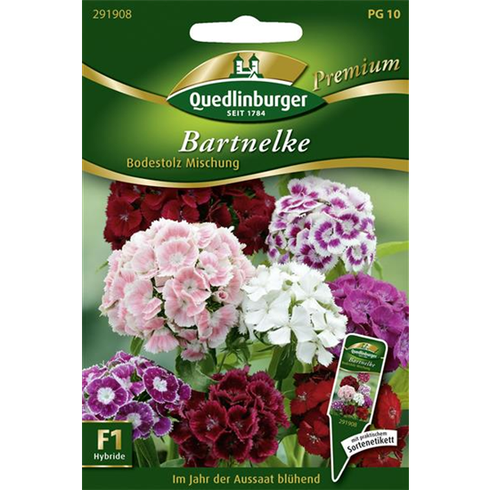 Bartnelkensamen 'Bodestolz'