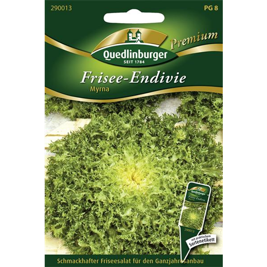 Frisee-Endivie-Samen 'Myrna' Frisee-Endivie-Samen 'Myrna'