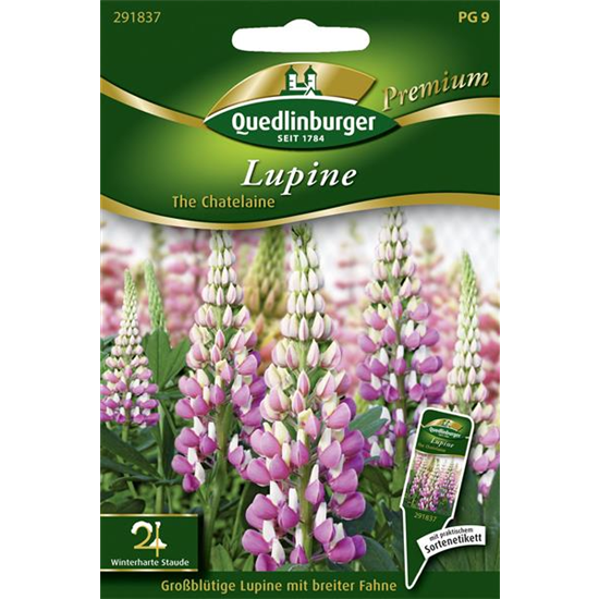 Garten-Lupine-Samen 'The Chatelaine'