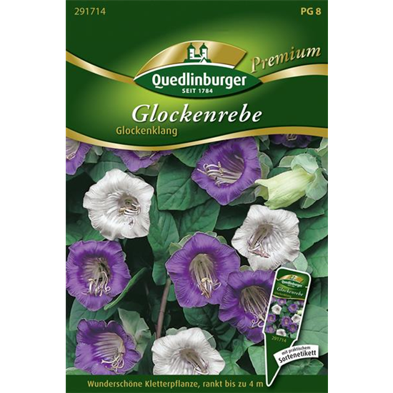 Glockenrebensamen 'Glockenklang'