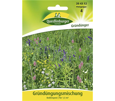 Gründüngung-Samen