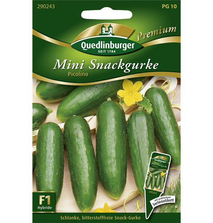 Cucumis sativus 'Picolino'