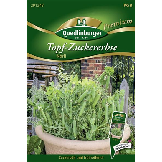 Kiefelerbsensamen 'Norli'