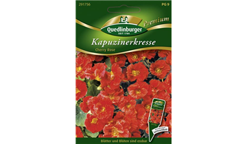 Bildvorschau