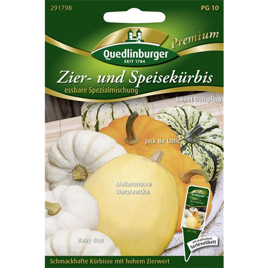 Kürbissamen