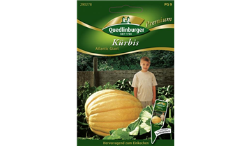 Bildvorschau