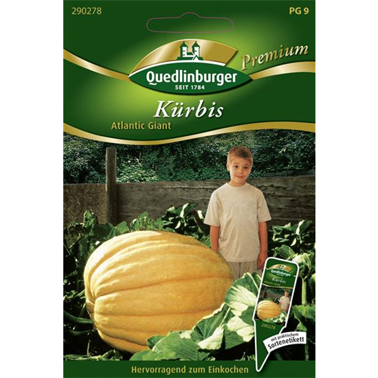 Kürbissamen 'Atlantic Giant'