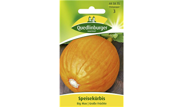 Bildvorschau