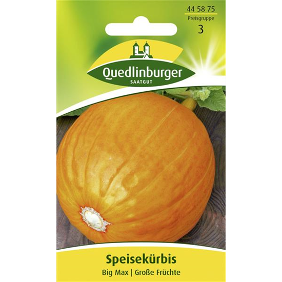 Kürbissamen 'Big Max'