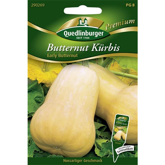 Kürbissamen 'Early Butter Nut F1'