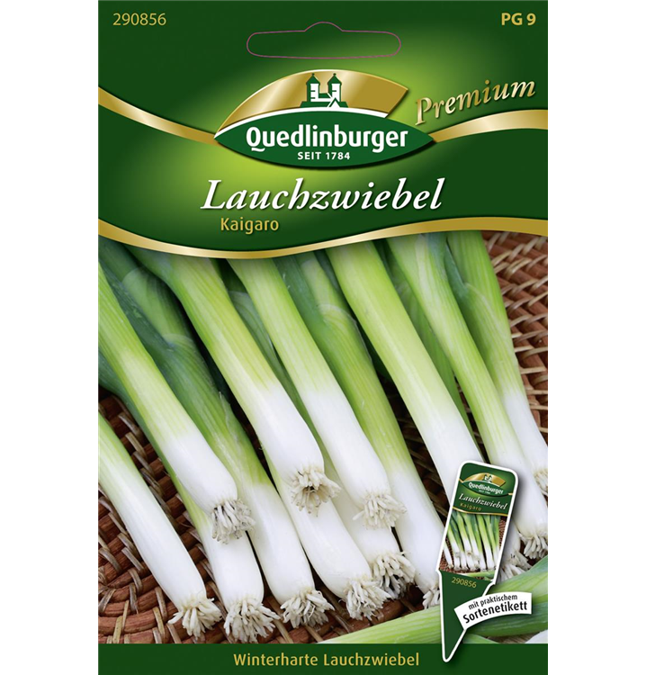 Allium fistulosum 'Kaigaro'