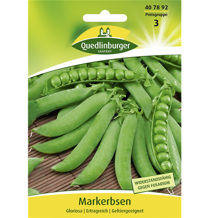 Pisum sativum 'Gloriosa'