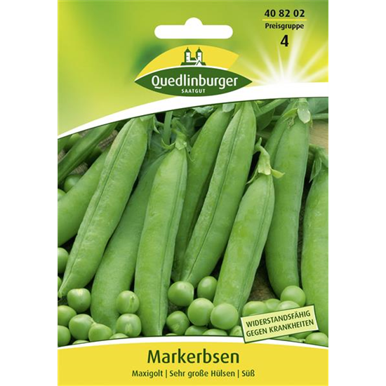 Markerbsensamen 'Maxigolt'