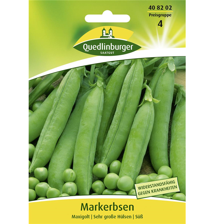 Pisum sativum 'Maxigolt'