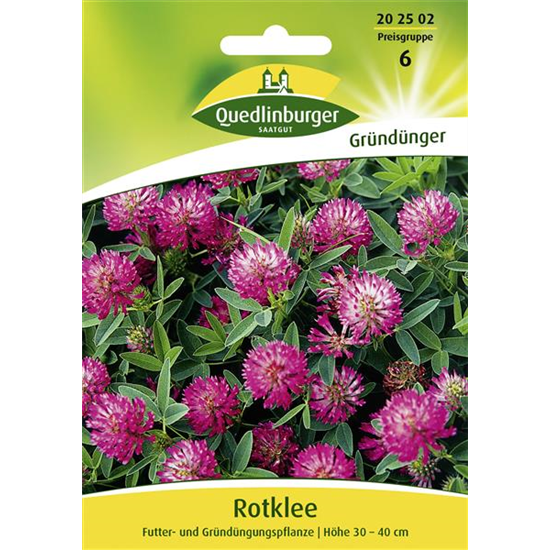 Rotkleesamen