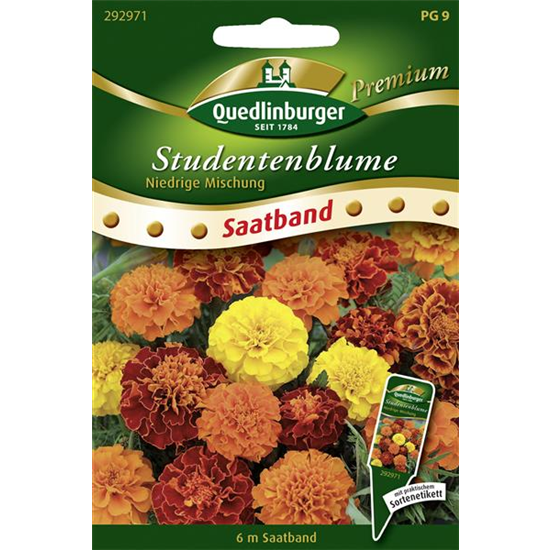 Studentenblumensamen 'Niedrige Mischung'