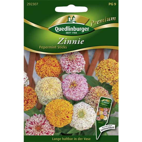 Zinniensamen 'Peppermint Stick' Mix