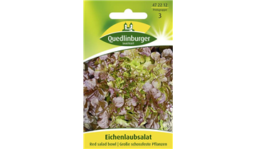 Bildvorschau