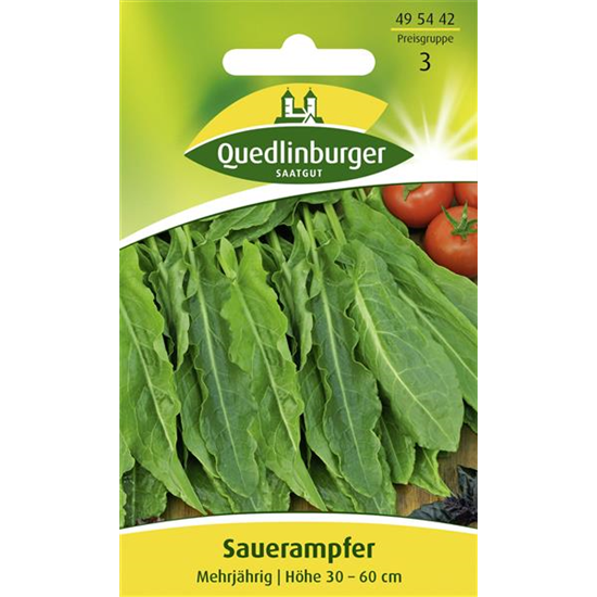 Großer Sauerampfer-Samen