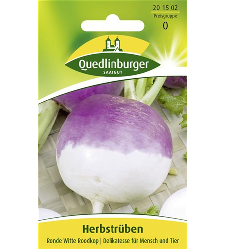 Herbstrübensamen 'Ronde Witte Roodkop'