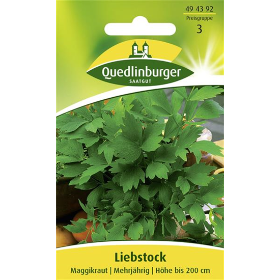 Liebstöckelsamen