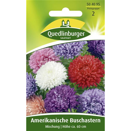 Amerikanische Buschaster-Samen