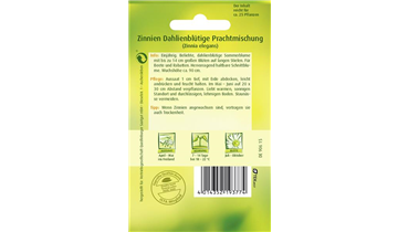 Bildvorschau