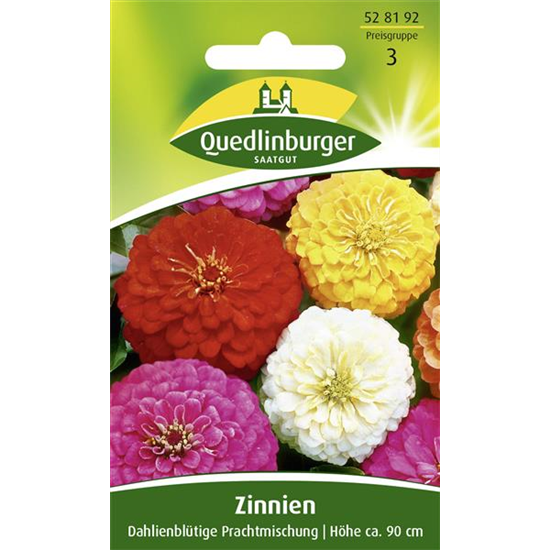 Dahlienblütige Zinnie-Samen