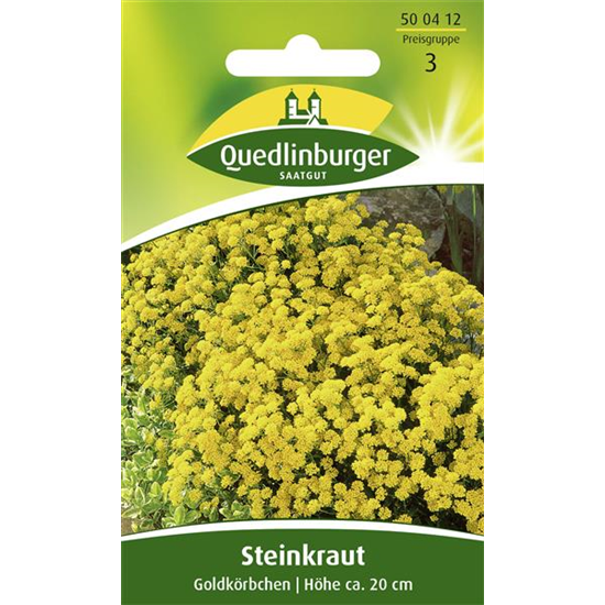 Felsen-Steinkraut-Samen 'Goldkörbchen'