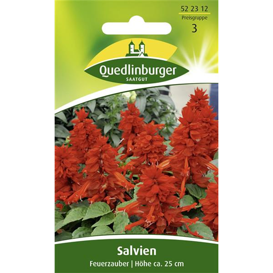 Feuer-Salbei-Samen 'Feuerzauber'