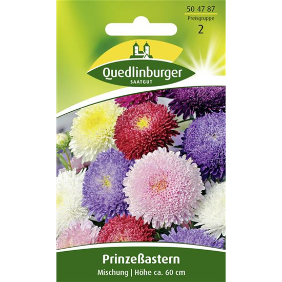 Gartenastersamen 'Prinzess'