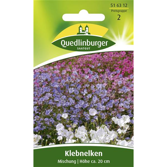 Himmelsröschensamen