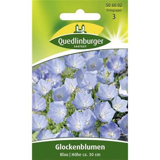 Karpaten-Glockenblume-Samen