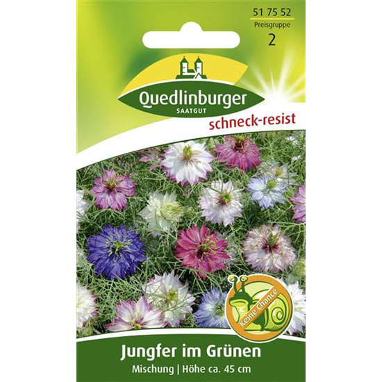 Jungfer im Grünen-Samen
