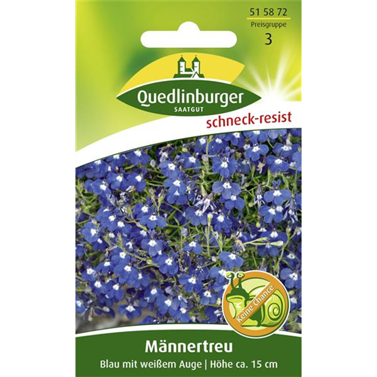 Männertreusamen 'Blau mit weißem Auge'
