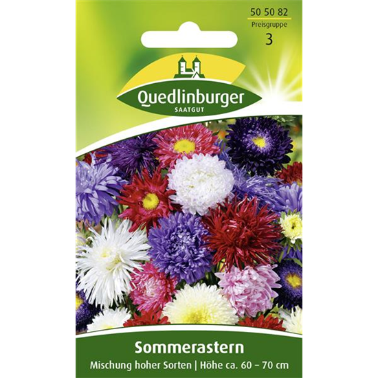 Sommerastersamen 'Hohe Sorten'