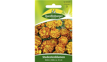 Bildvorschau