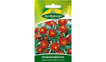 Bildvorschau
