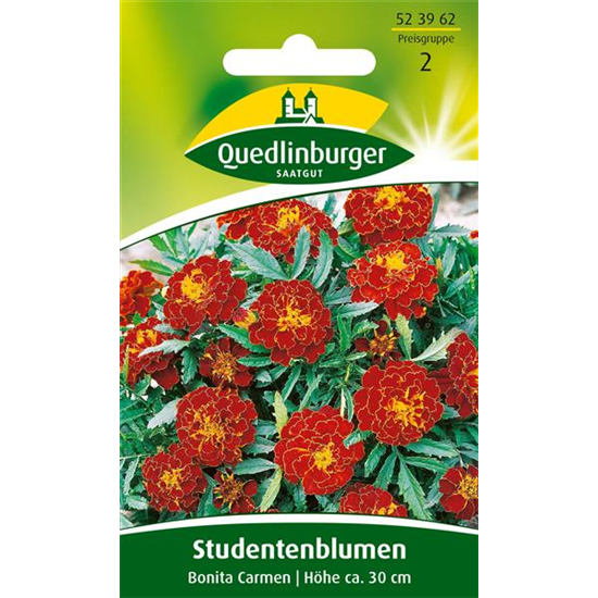 Studentenblumensamen 'Carmen'