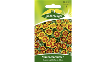 Bildvorschau