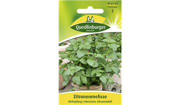 Bildvorschau