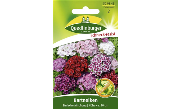 Bartnelkensamen 'Einfache Mischung'