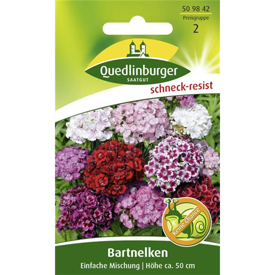 Bartnelkensamen 'Einfache Mischung'