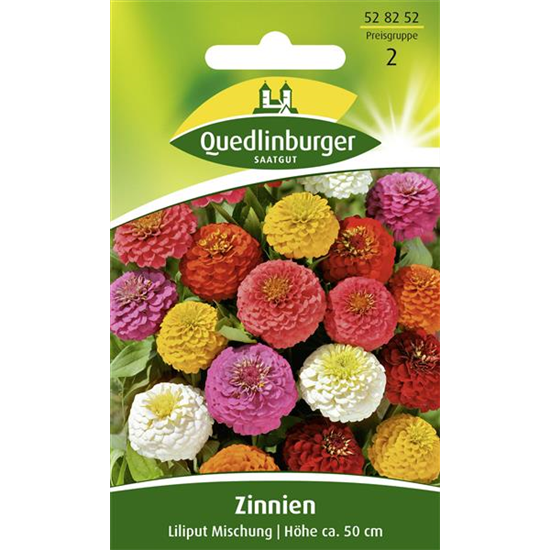 Zinniensamen 'Liliput'