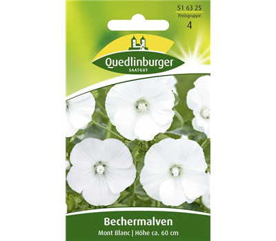 Bechermalvensamen 'Mont Blanc'